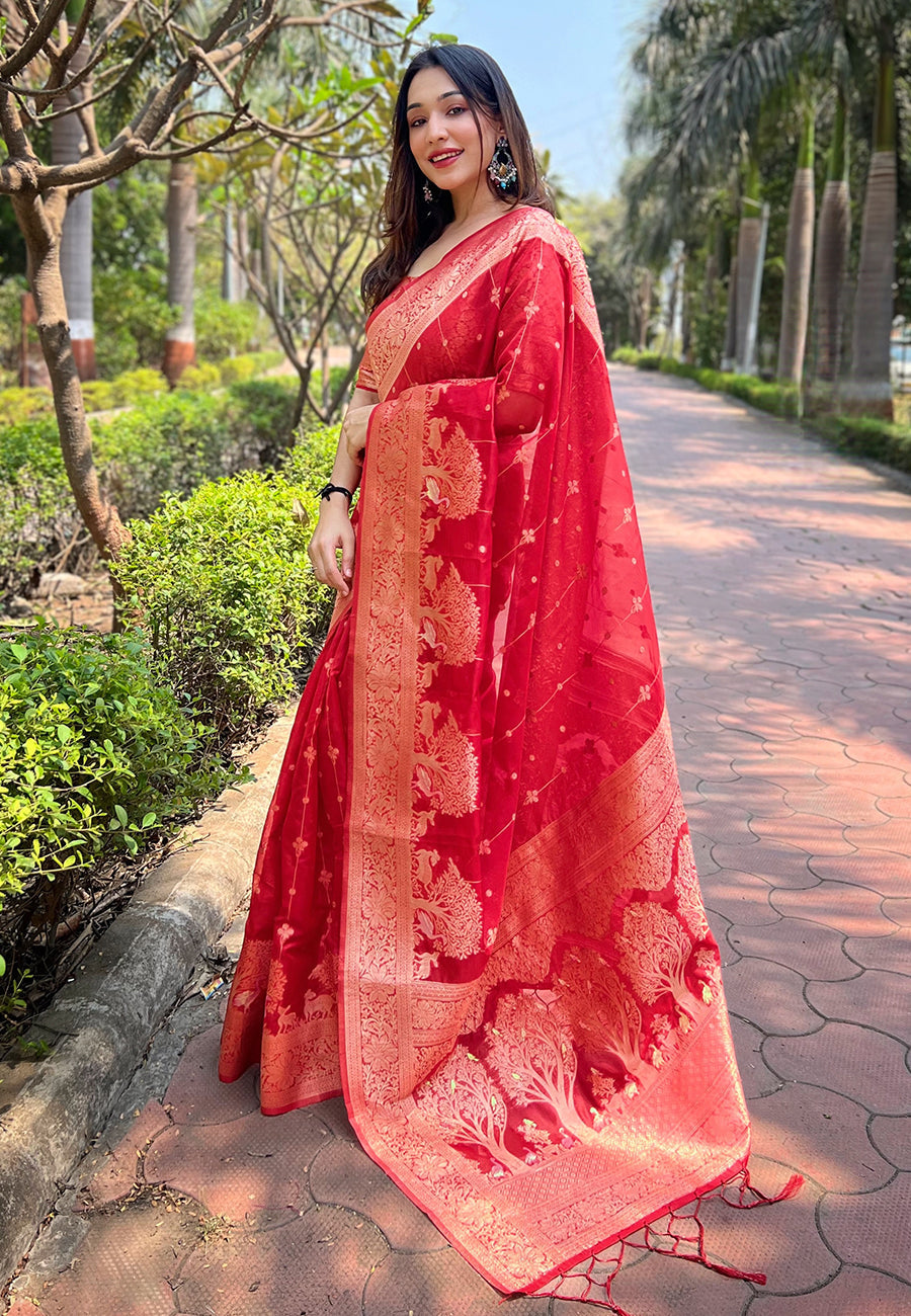 Red Organza Floral Rainbow Zari Woven Unique Saree