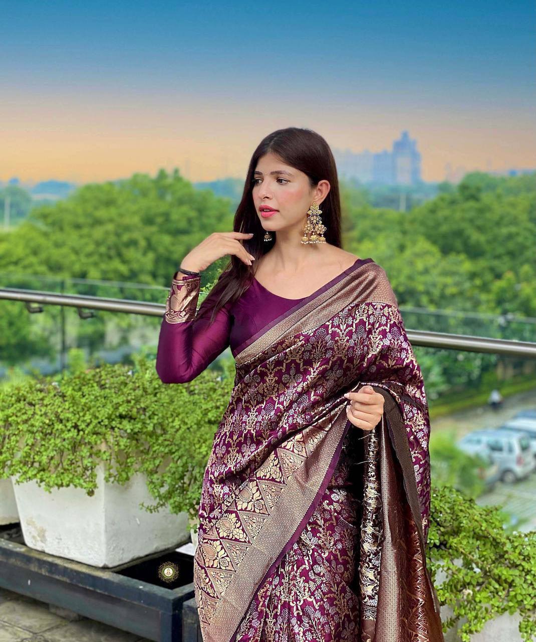 Maroon Panddi With Zari Boder Banarasi Soft silk Saree