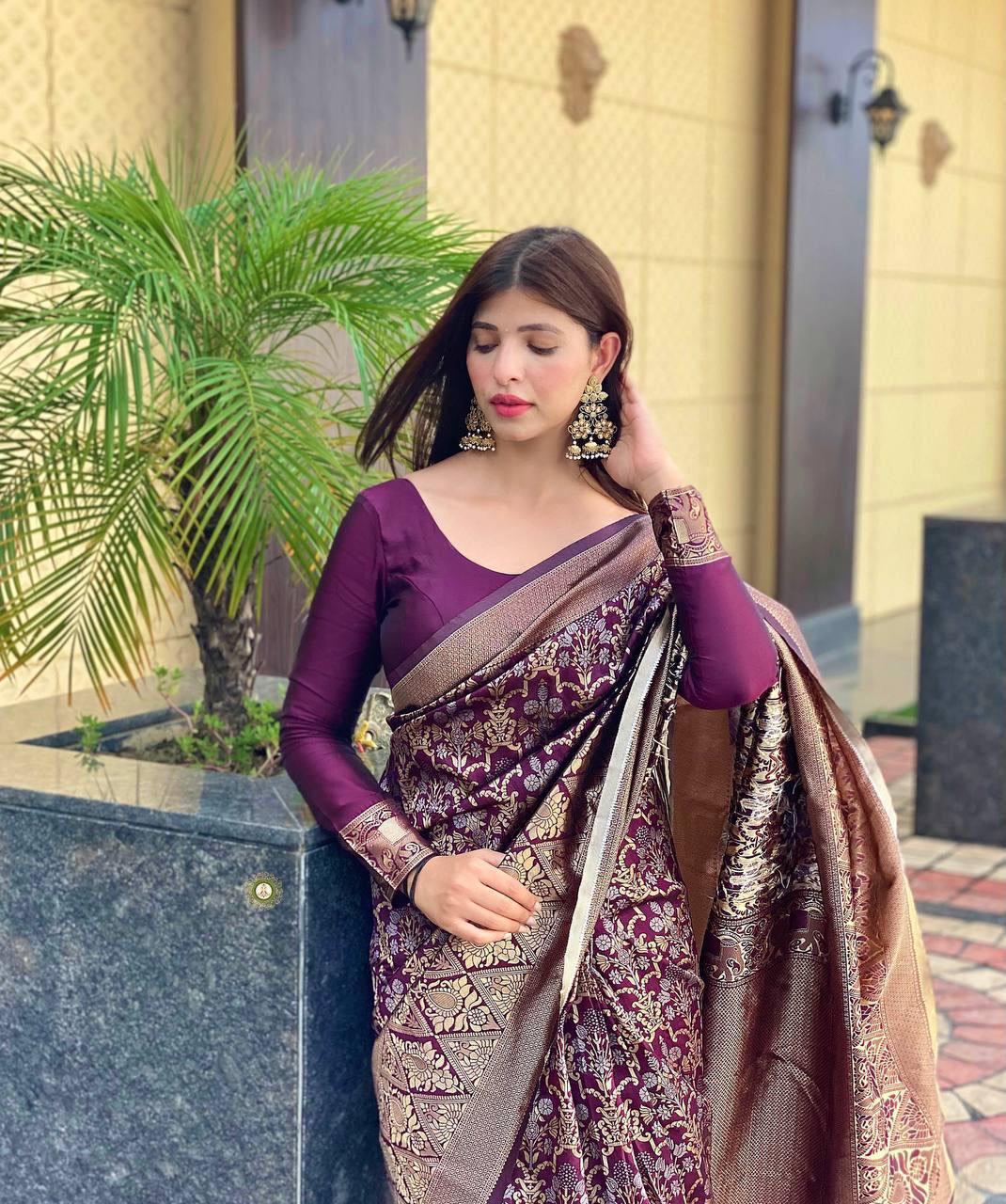 Maroon Panddi With Zari Boder Banarasi Soft silk Saree