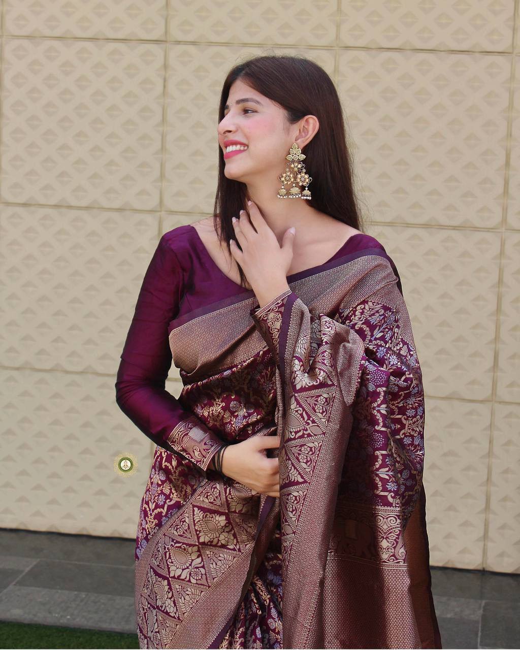 Maroon Panddi With Zari Boder Banarasi Soft silk Saree