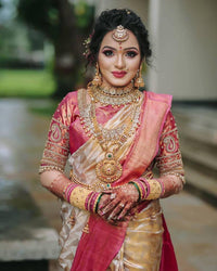 Snazzy Beige Soft Silk Saree