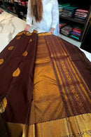Tantalizing Brown Soft Banarasi Silk Saree With Prominent Blouse Piece
