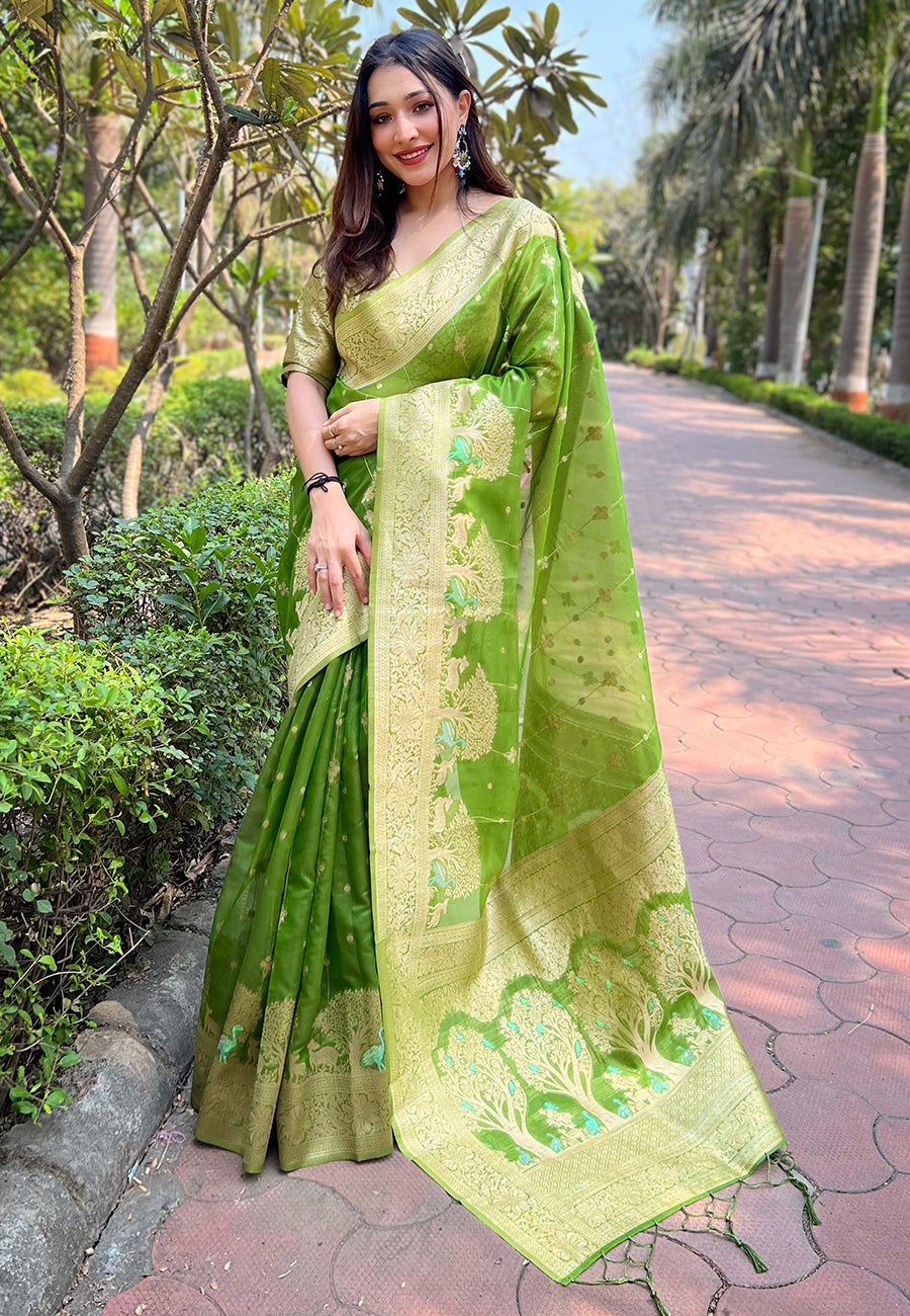 Parrot Green Organza Floral Rainbow Zari Woven Unique Saree