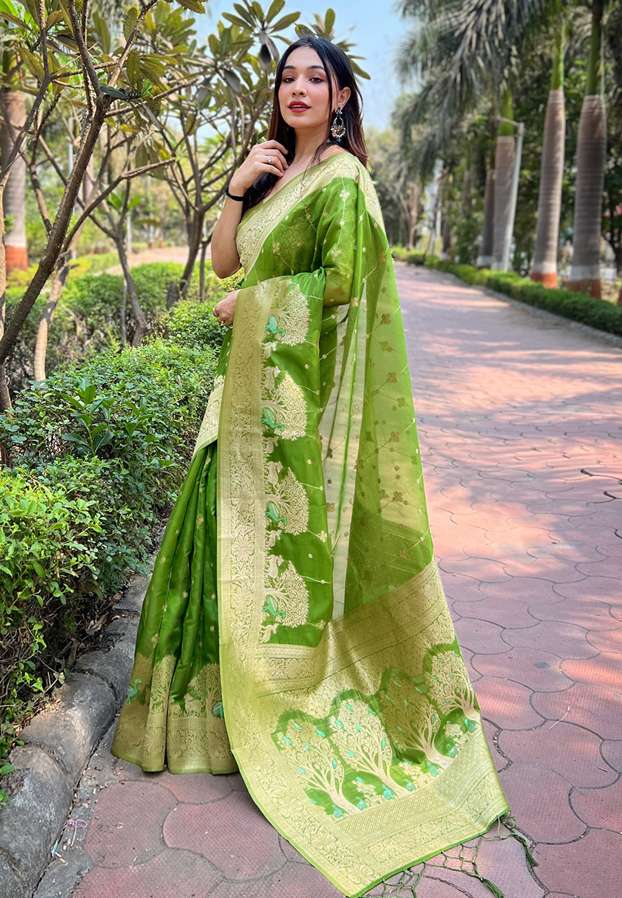 Parrot Green Organza Floral Rainbow Zari Woven Unique Saree