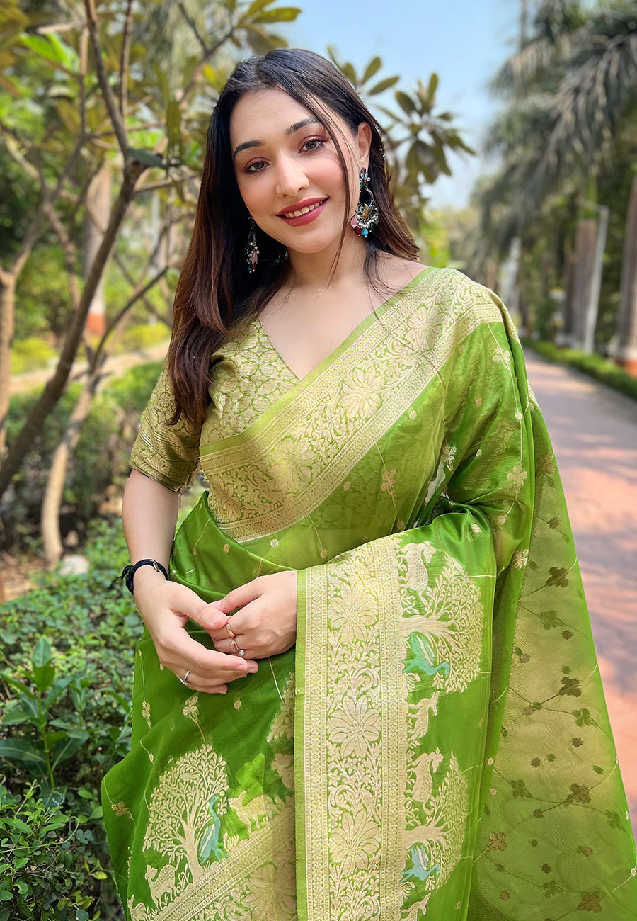 Parrot Green Organza Floral Rainbow Zari Woven Unique Saree