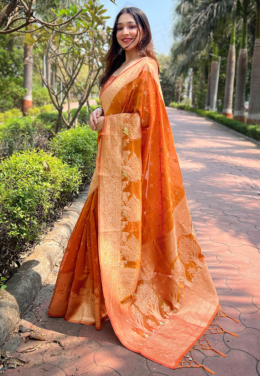 Orange Organza Floral Rainbow Zari Woven Unique Saree