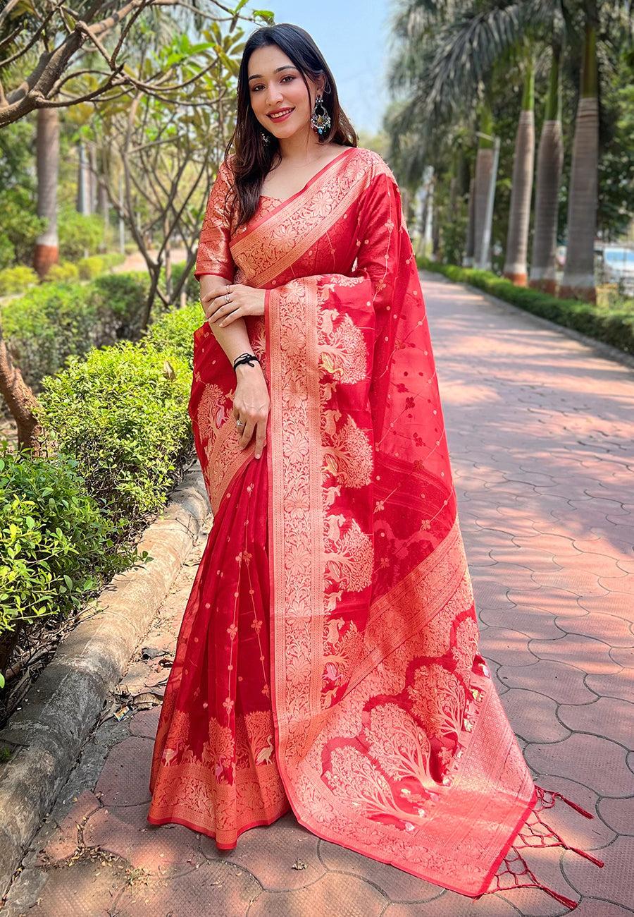 Red Organza Floral Rainbow Zari Woven Unique Saree