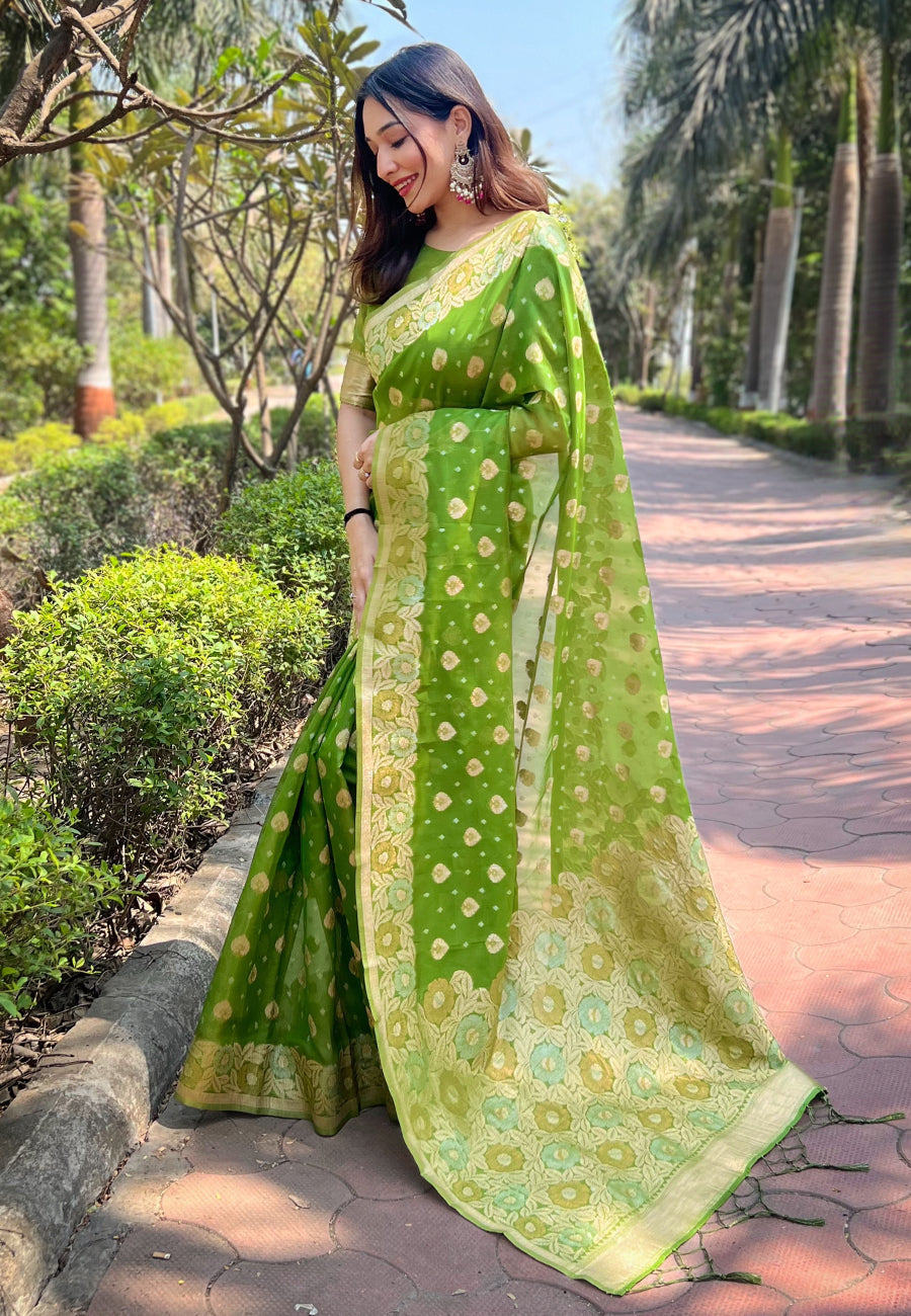 Nasty Green Organza Floral Dual Zari Woven Saree With Unstitched Blouse