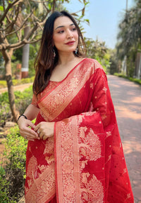 Red Organza Floral Rainbow Zari Woven Unique Saree