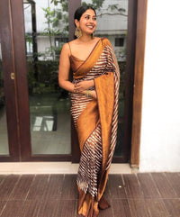 Taupe Brown Banarasi Silk Saree
