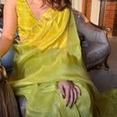 Lime Green Velvet Saree with Scallop Sequin Border