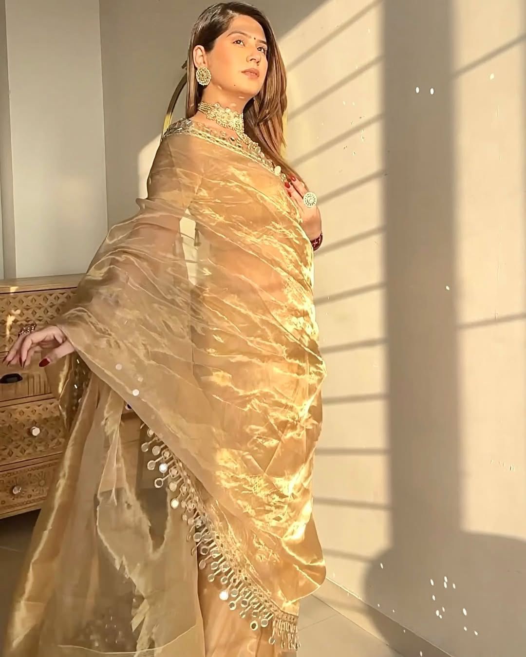 Golden Organza Saree with Hand Mirror Work Border