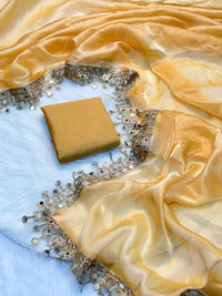 Golden Organza Saree with Hand Mirror Work Border