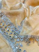 Golden Organza Saree with Hand Mirror Work Border