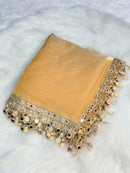 Golden Organza Saree with Hand Mirror Work Border