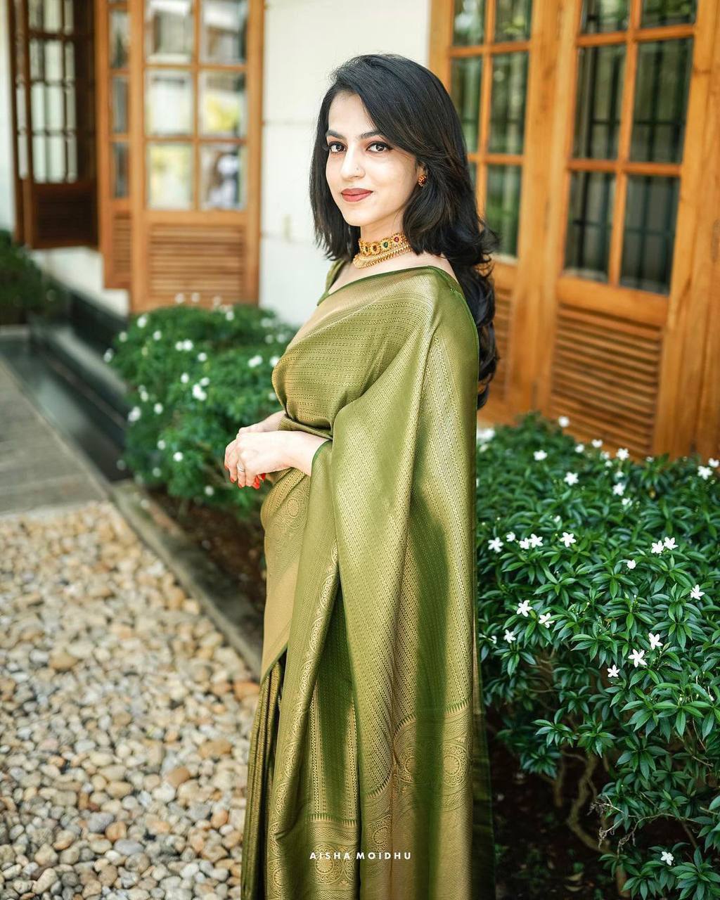 Light Green Banarsi Saree & Blouse Golden Zari Weaving
