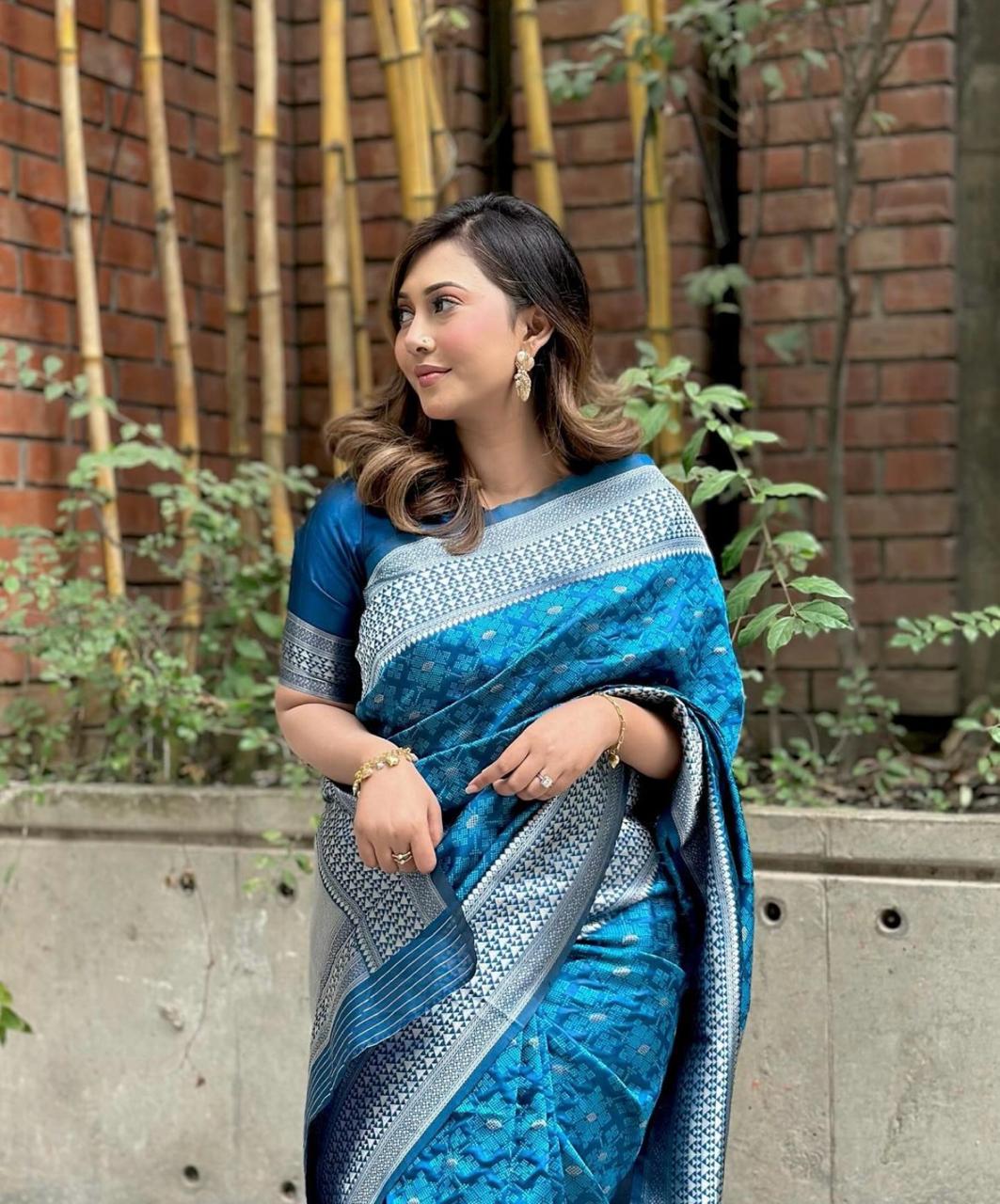 Pehnava Multy Color Woven Art Silk Saree
